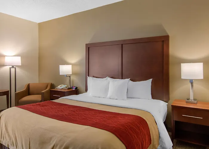 Comfort Inn Chester - Richmond South