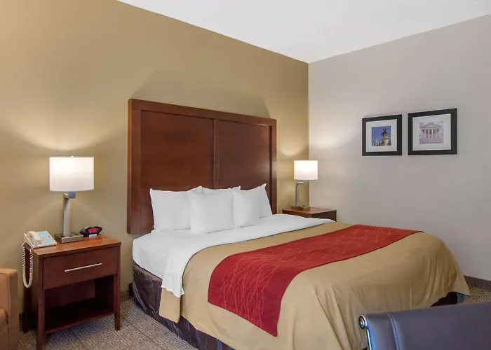 Comfort Inn Chester - Richmond South